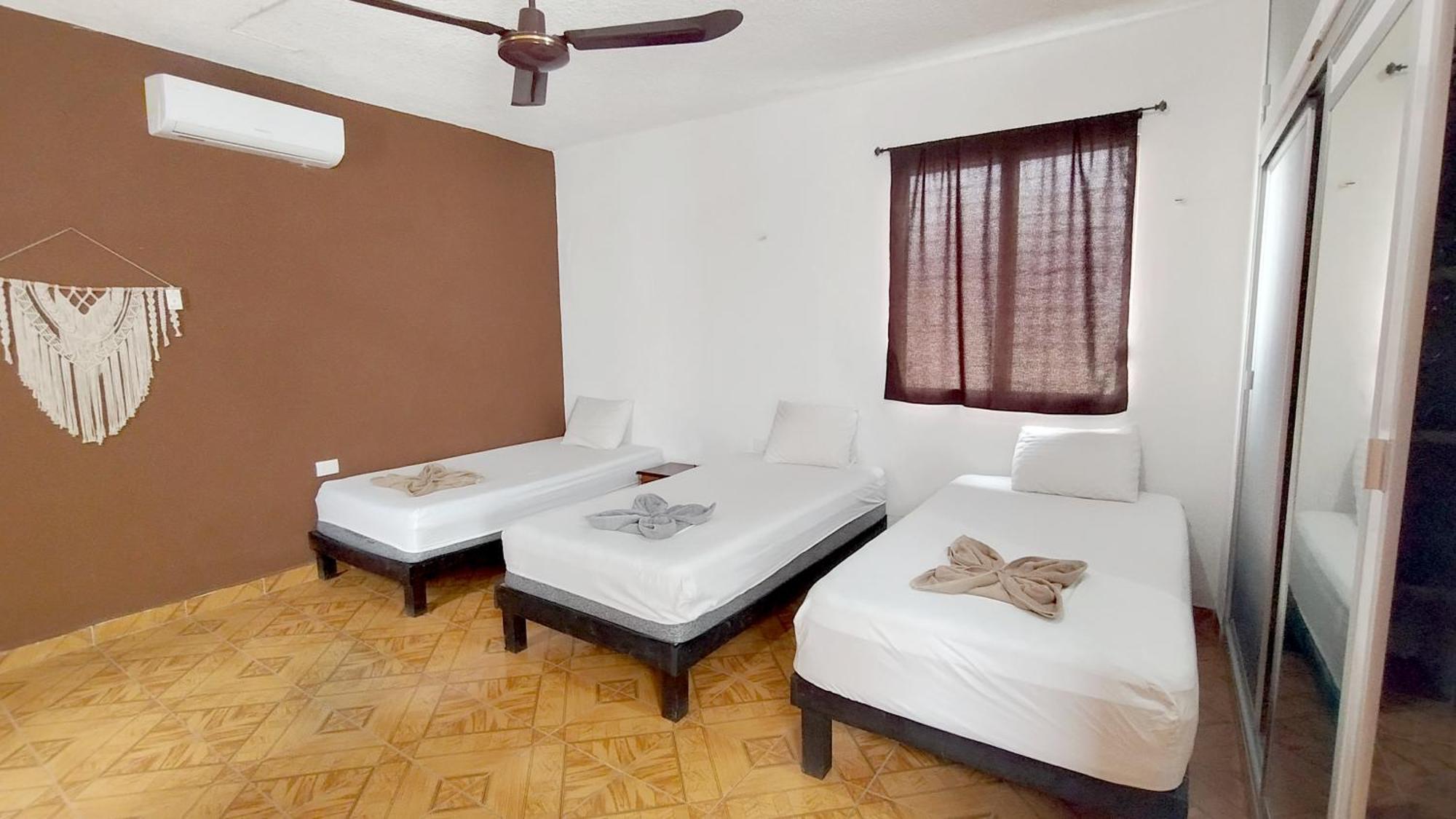 Spanglish Hostel Valladolid  Dış mekan fotoğraf